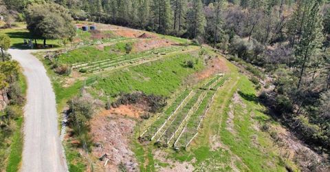 23003 Pleasant Valley Rd, North San Juan, CA 95960 Photo