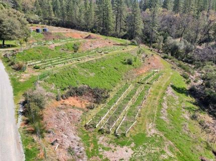 23003 Pleasant Valley Rd, North San Juan, CA 95960 Photo