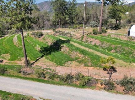 23003 Pleasant Valley Rd, North San Juan, CA 95960 Photo