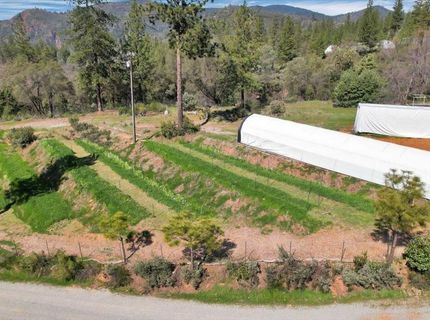 23003 Pleasant Valley Rd, North San Juan, CA 95960 Photo