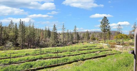 23003 Pleasant Valley Rd, North San Juan, CA 95960 Photo
