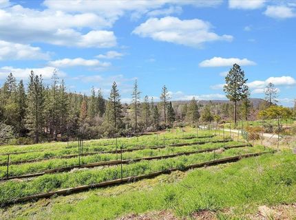 23003 Pleasant Valley Rd, North San Juan, CA 95960 Photo