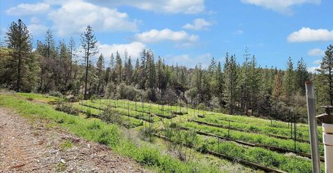 23003 Pleasant Valley Rd, North San Juan, CA 95960 Photo