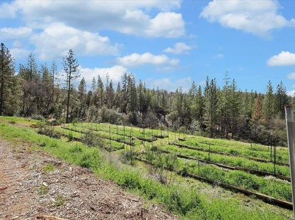 23003 Pleasant Valley Rd, North San Juan, CA 95960 Photo