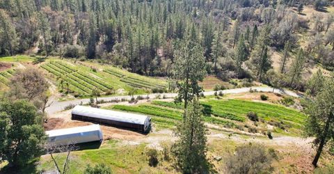 23003 Pleasant Valley Rd, North San Juan, CA 95960 Photo