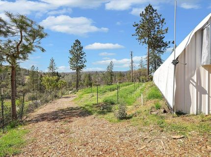 23003 Pleasant Valley Rd, North San Juan, CA 95960 Photo