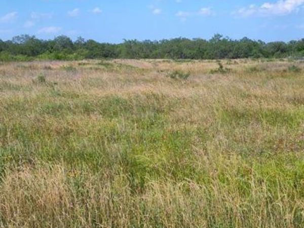 49 BOREN PRIVATE RD , Wortham, TX 76693