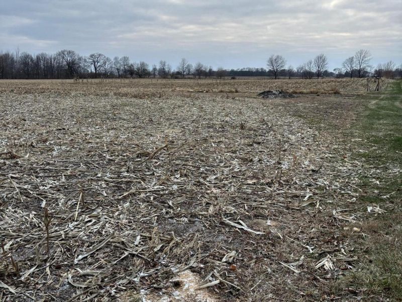 7710 N Bollinger Road, Conover, OH 45317 Photo 63