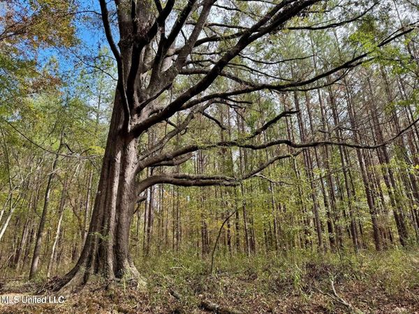 Yandell Road, Madison, MS 39110