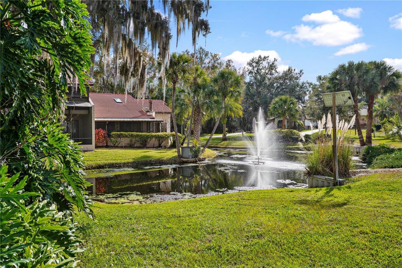 402 Clusterwood Drive, Yalaha, FL 34797 Photo