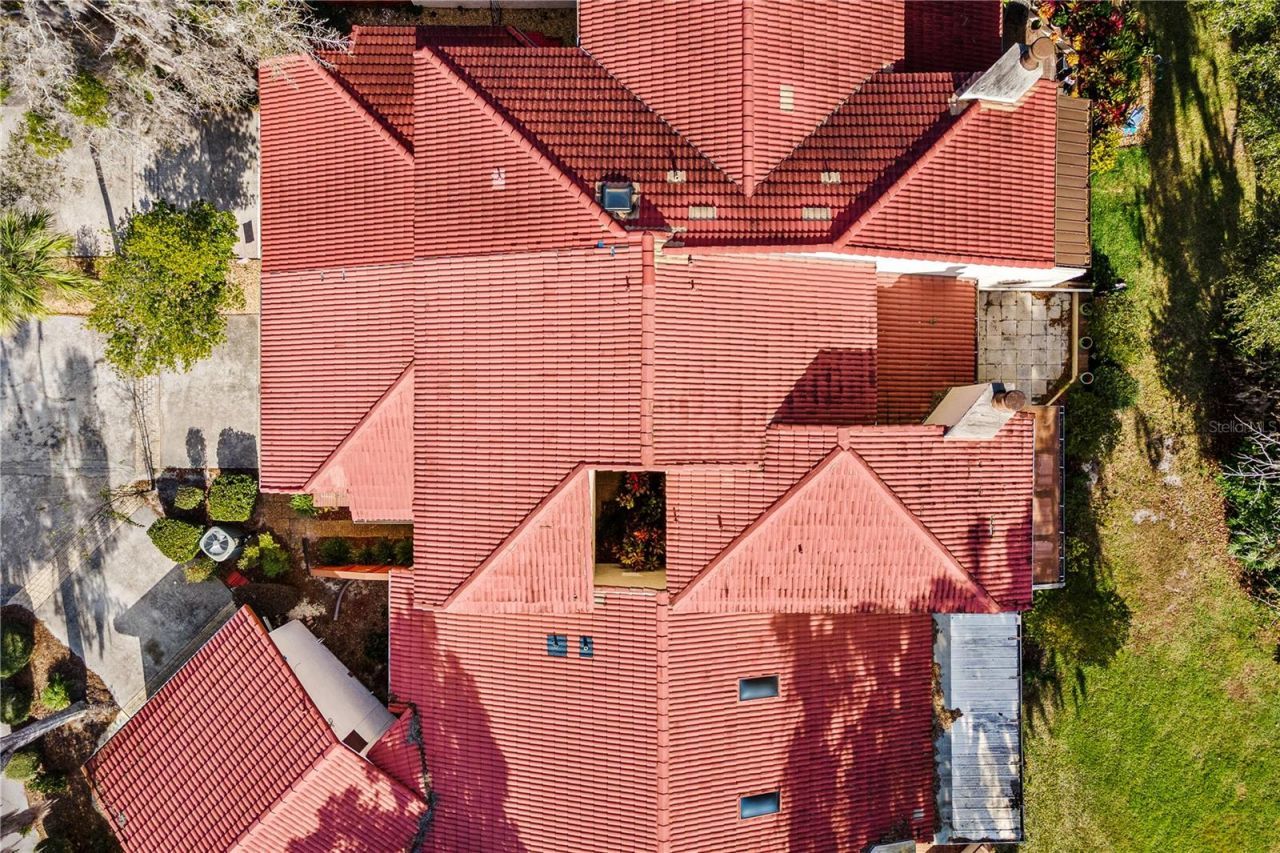 402 Clusterwood Drive, Yalaha, FL 34797 Photo