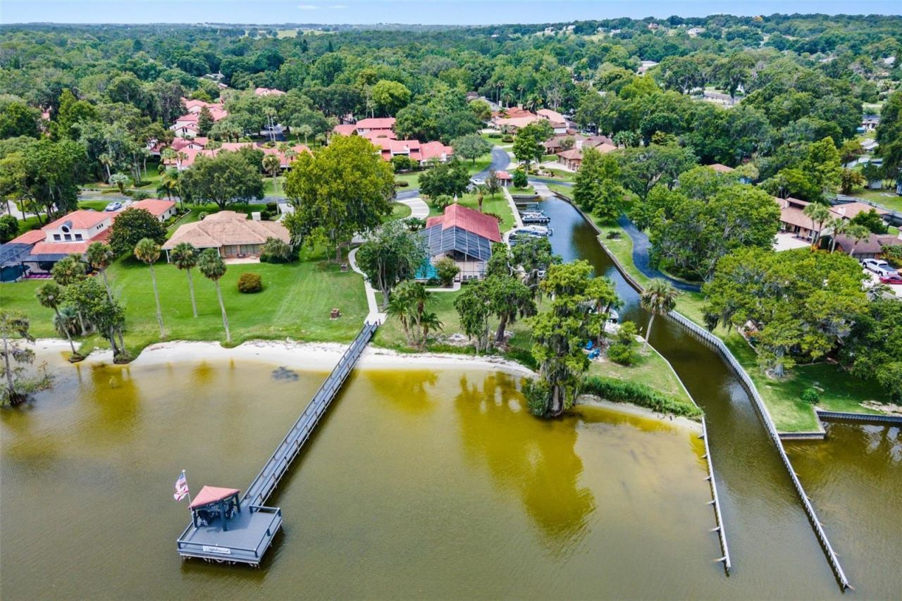 402 Clusterwood Drive, Yalaha, FL 34797 Photo