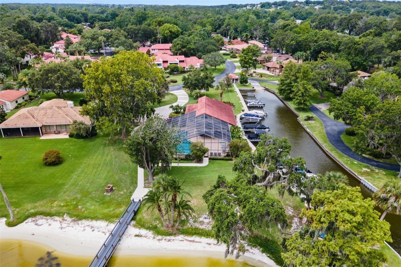 402 Clusterwood Drive, Yalaha, FL 34797 Photo