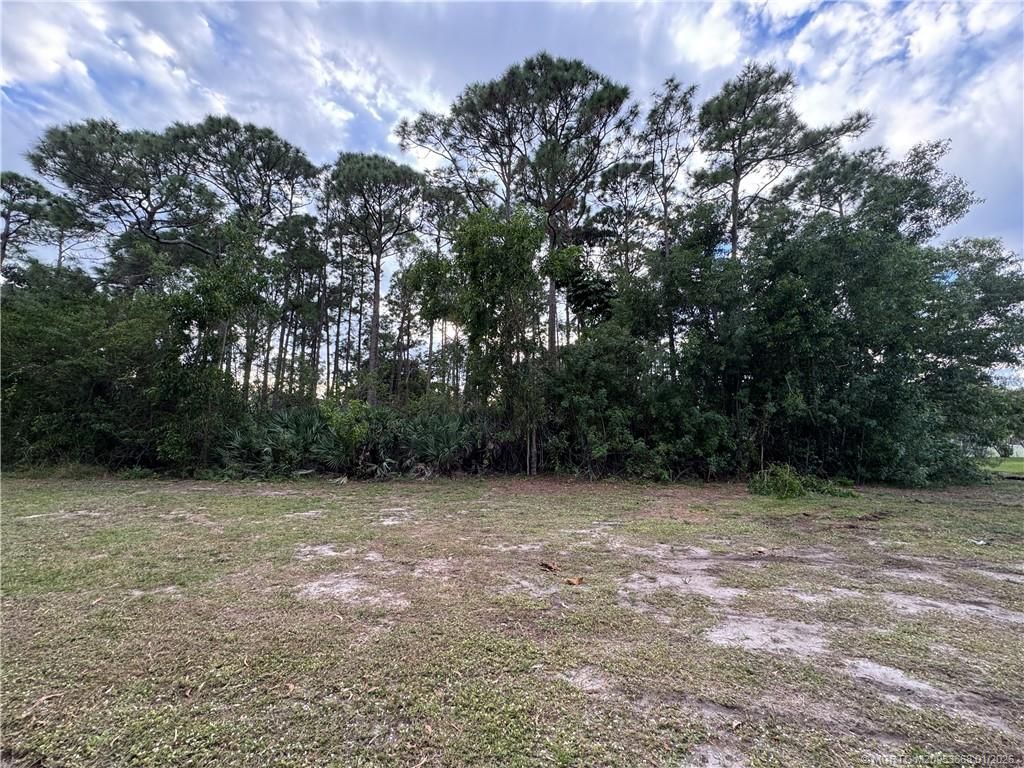 Lot 10,20 1/2 21 SE Pinehaven Avenue, Hobe Sound, FL 33455 Photo