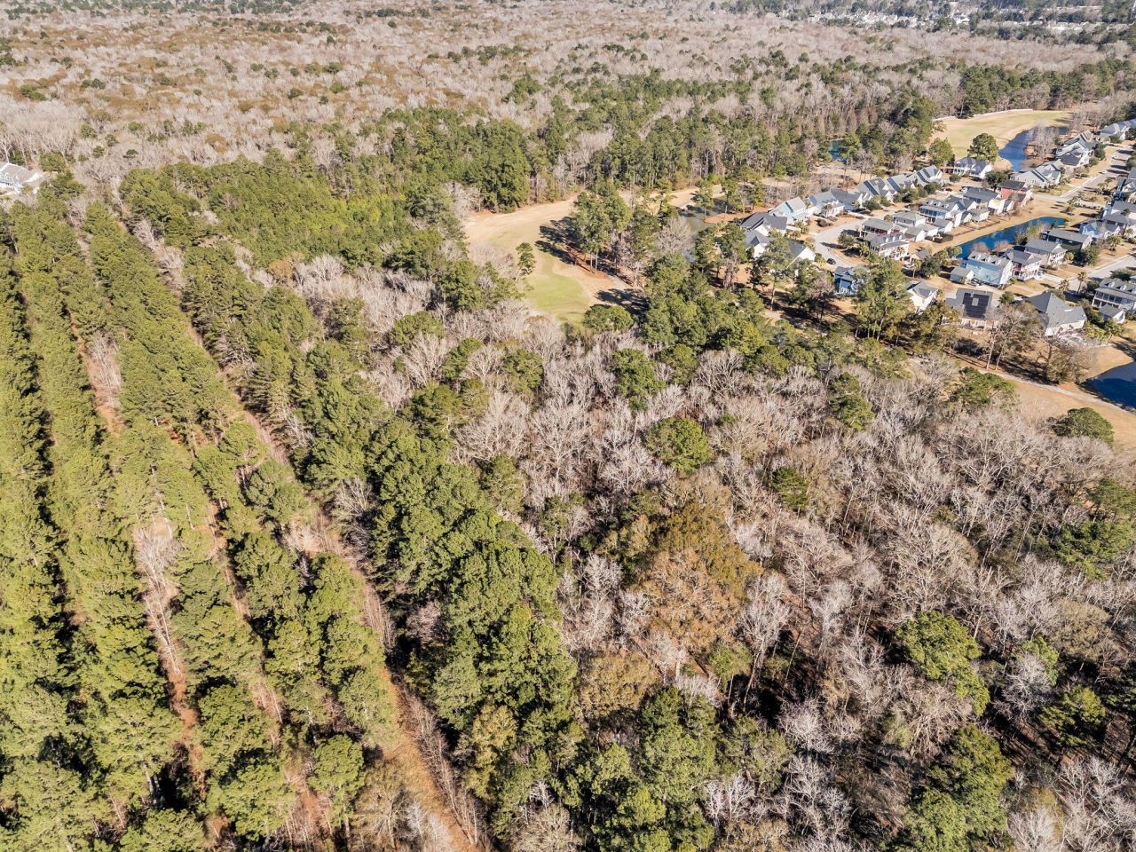 0 Legacy Lane Photo 5