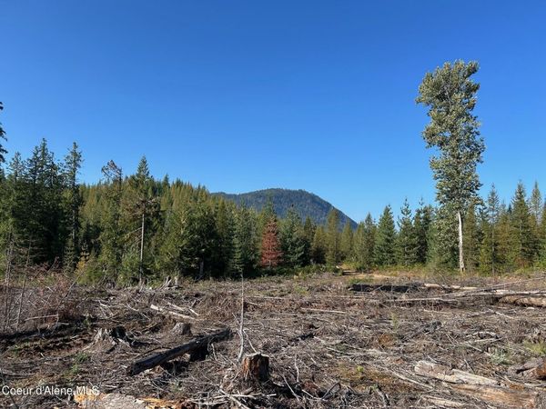 Tract 7 USFS 2294, Clark Fork, ID 83811