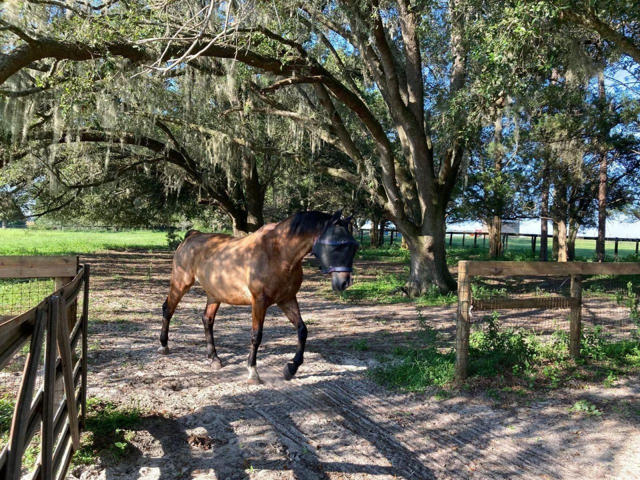 20462 SW 36th Street, Dunnellon, FL 34431 Photo