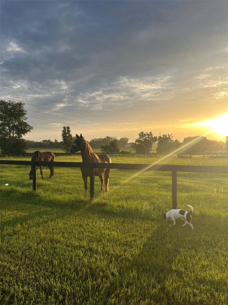 20462 SW 36th Street, Dunnellon, FL 34431 Photo