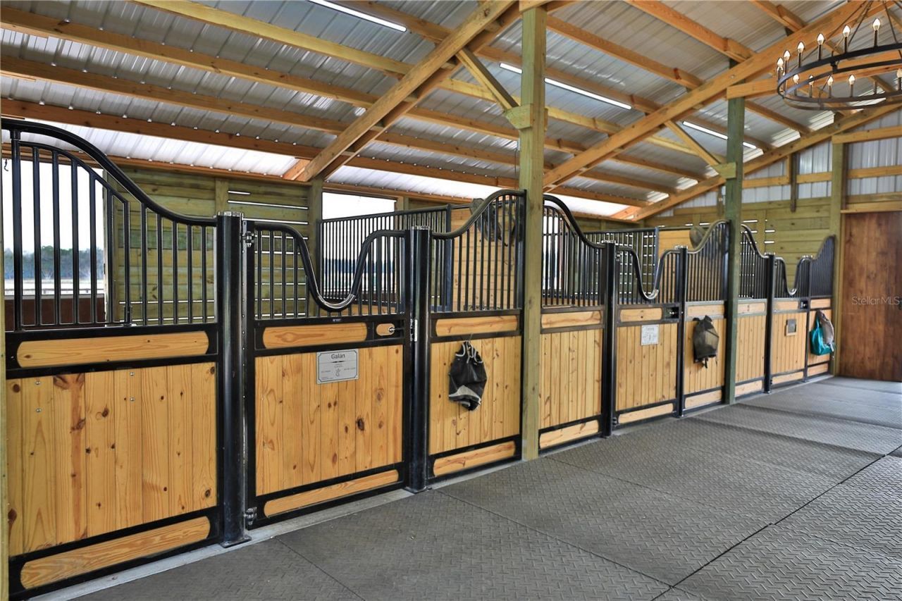 20462 SW 36th Street, Dunnellon, FL 34431 Photo