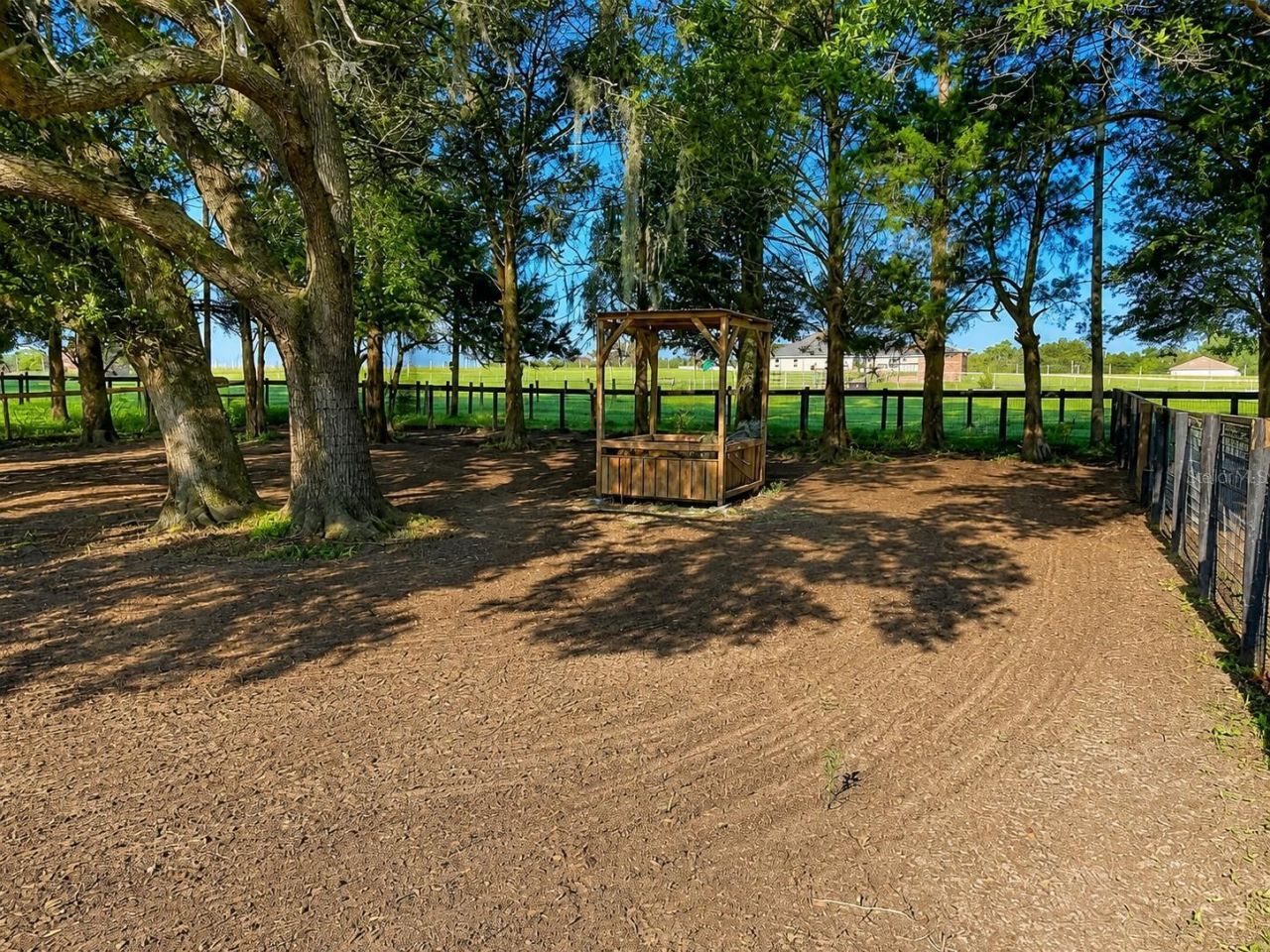 20462 SW 36th Street, Dunnellon, FL 34431 Photo