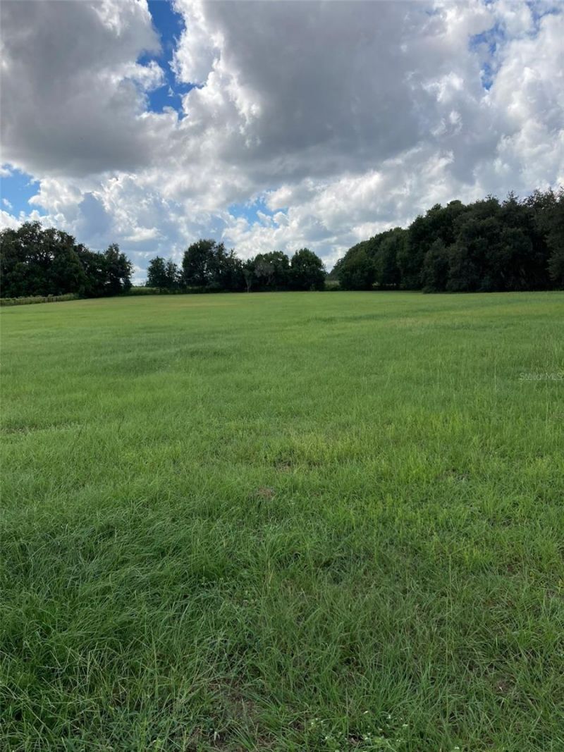 20462 SW 36th Street, Dunnellon, FL 34431 Photo
