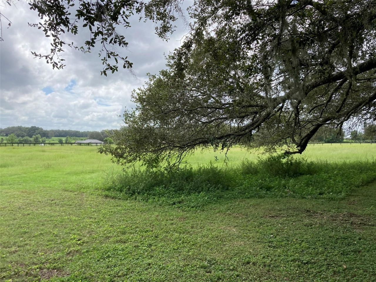 20462 SW 36th Street, Dunnellon, FL 34431 Photo