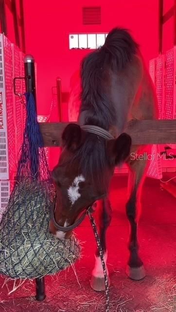 20462 SW 36th Street, Dunnellon, FL 34431 Photo