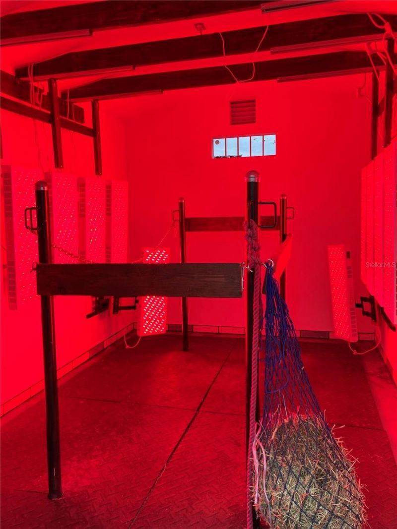 20462 SW 36th Street, Dunnellon, FL 34431 Photo