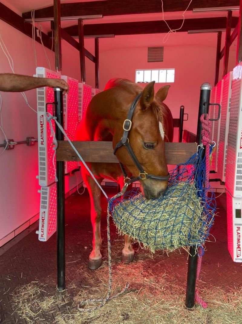 20462 SW 36th Street, Dunnellon, FL 34431 Photo