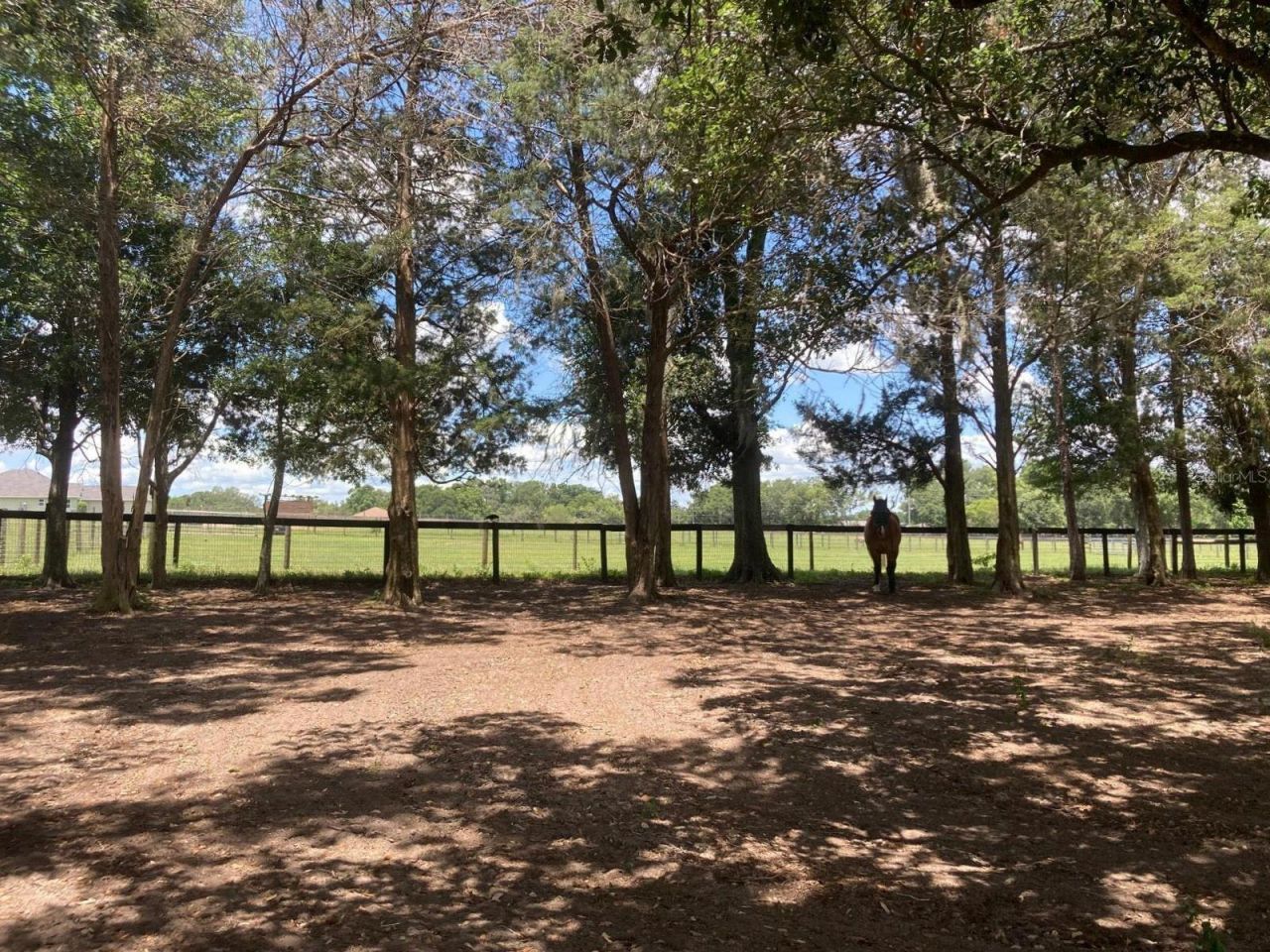 20462 SW 36th Street, Dunnellon, FL 34431 Photo