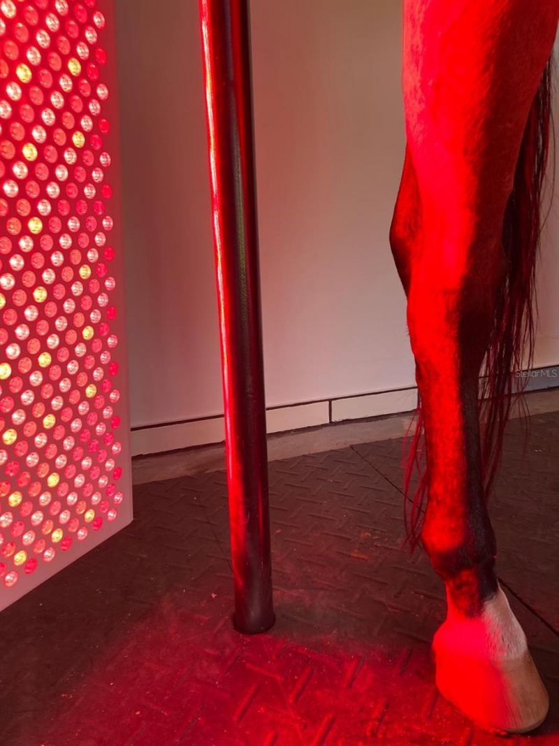 20462 SW 36th Street, Dunnellon, FL 34431 Photo