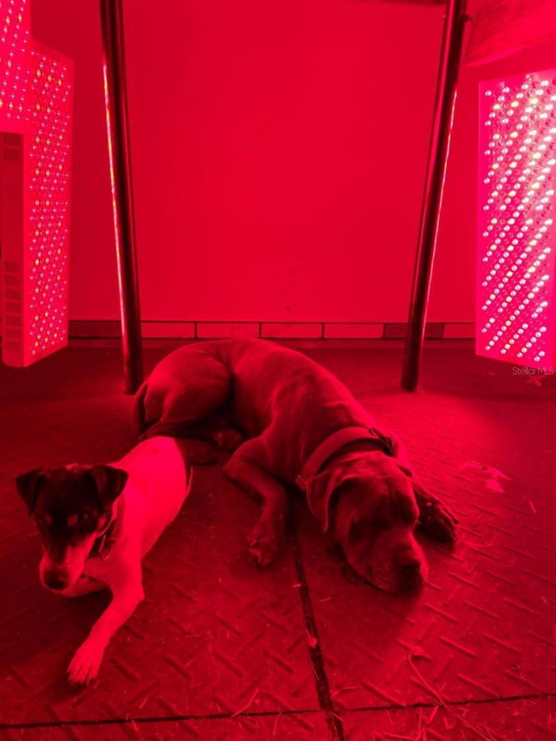 20462 SW 36th Street, Dunnellon, FL 34431 Photo