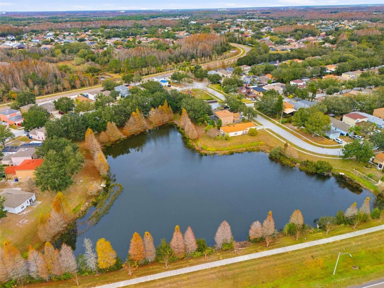 10417 Blackmore Drive, Tampa, FL 33647 Photo