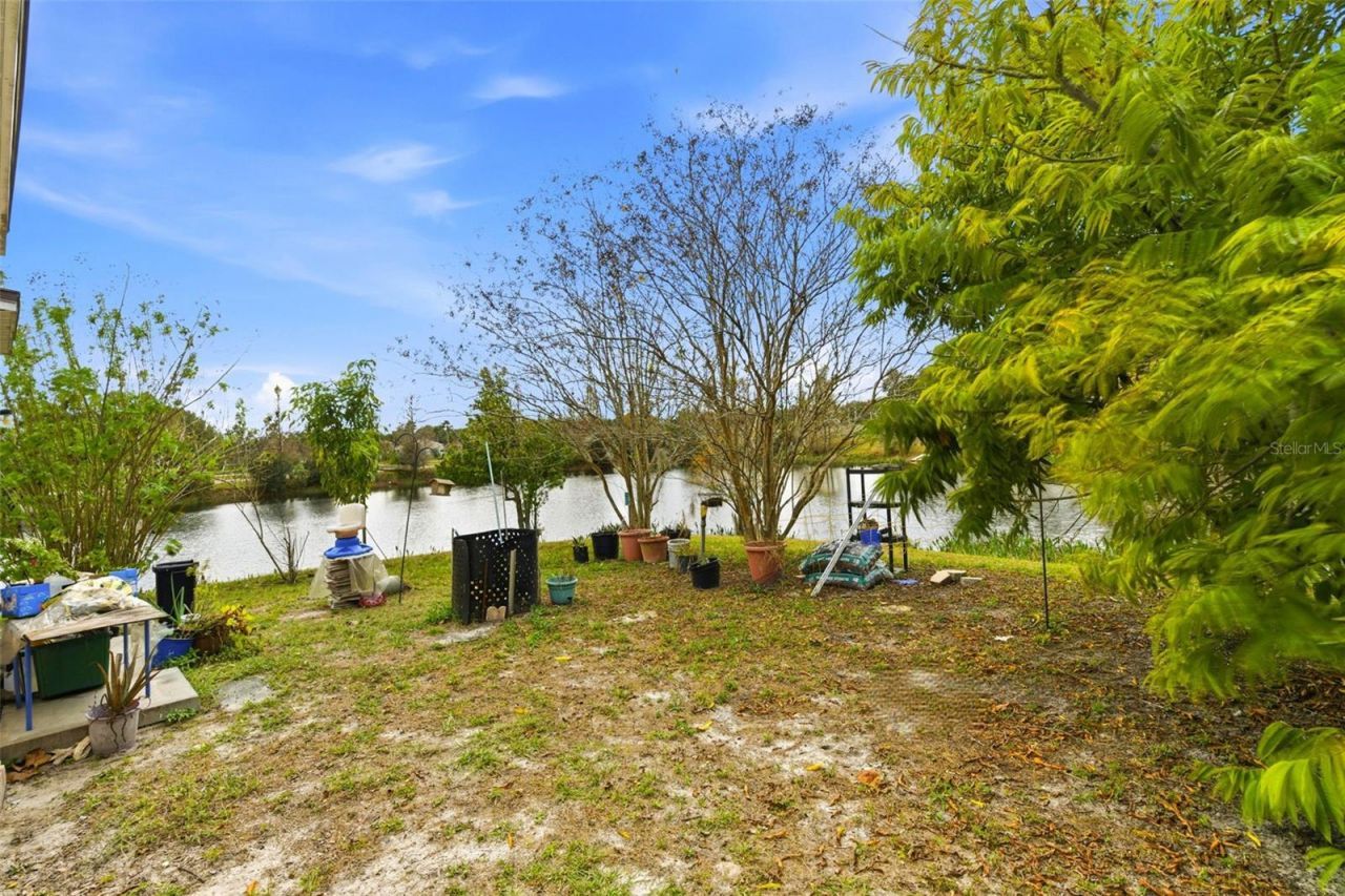 10417 Blackmore Drive, Tampa, FL 33647 Photo