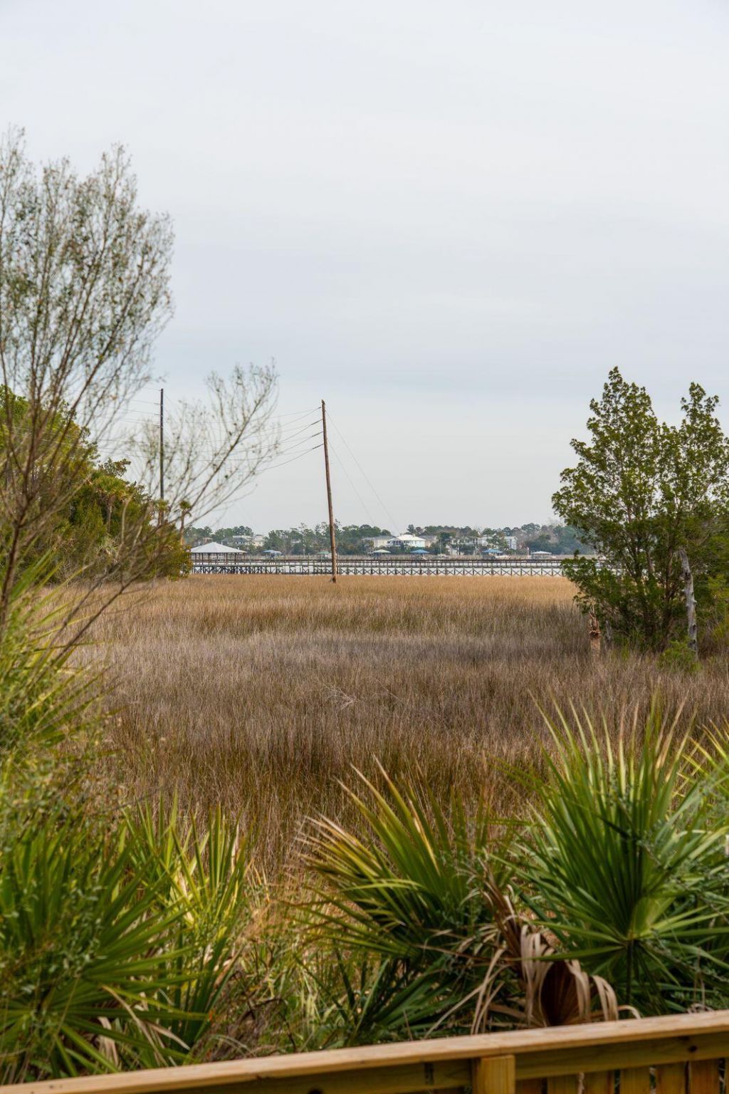 2838 Dragonfly Circle Photo 68