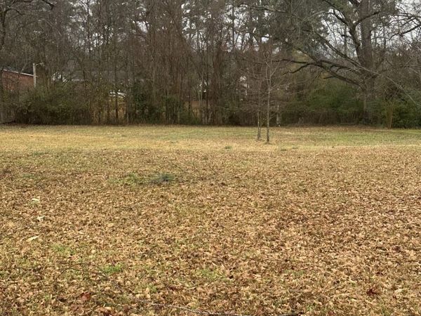 N. Columbus Ave., Louisville, MS 39339