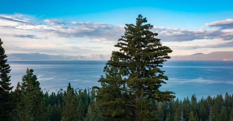 9080 Scenic Drive, Tahoma, CA 96142 Photo