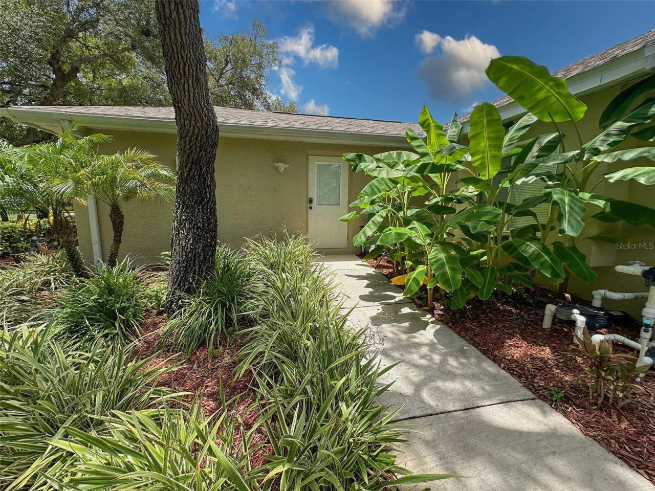 13807 Eagles Rock Court, Hudson, FL 34667 Photo