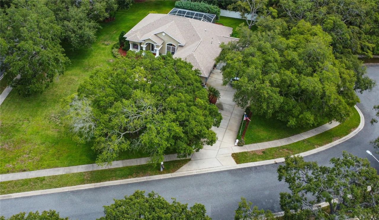 13807 Eagles Rock Court, Hudson, FL 34667 Photo