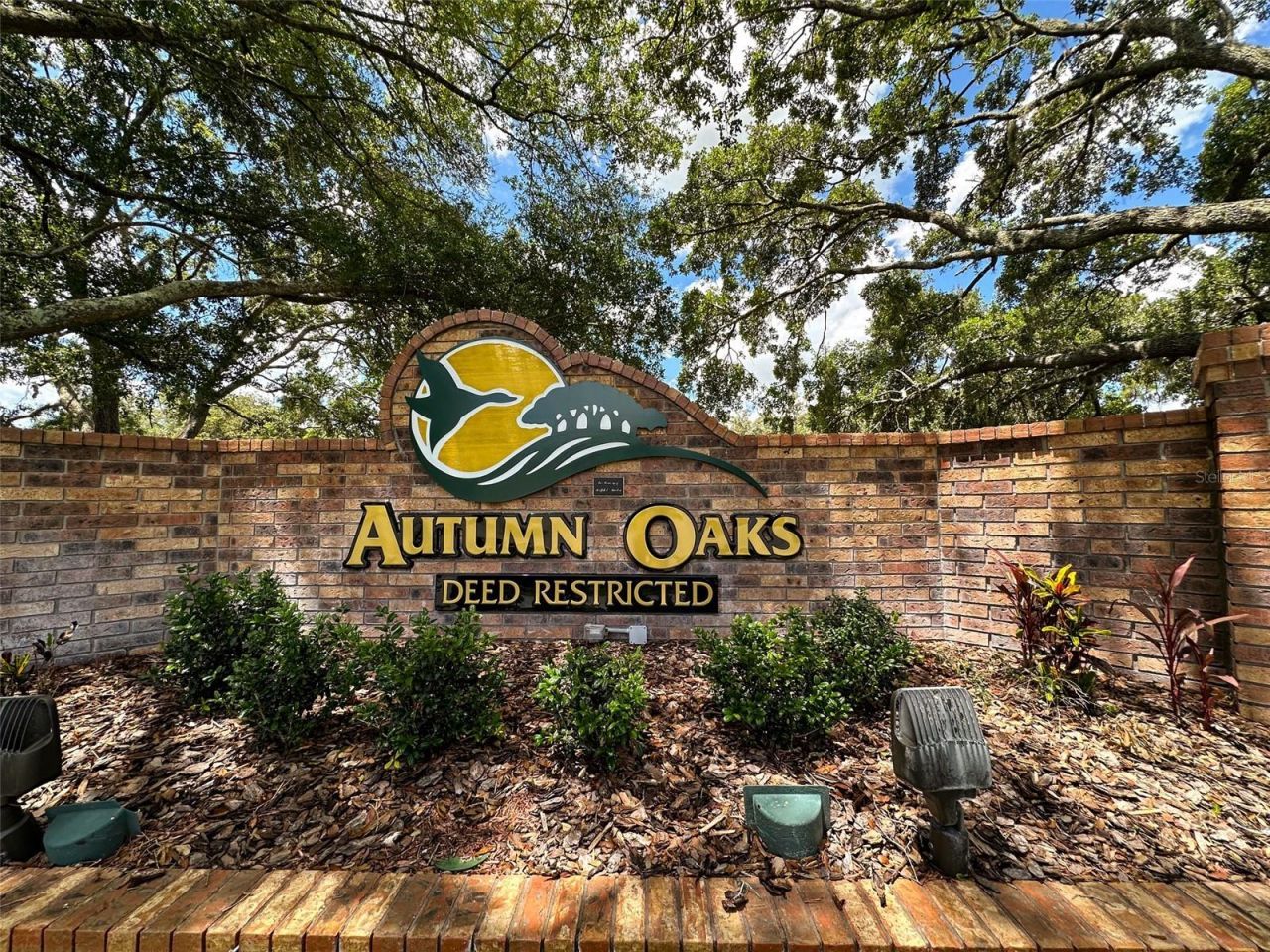 13807 Eagles Rock Court, Hudson, FL 34667 Photo