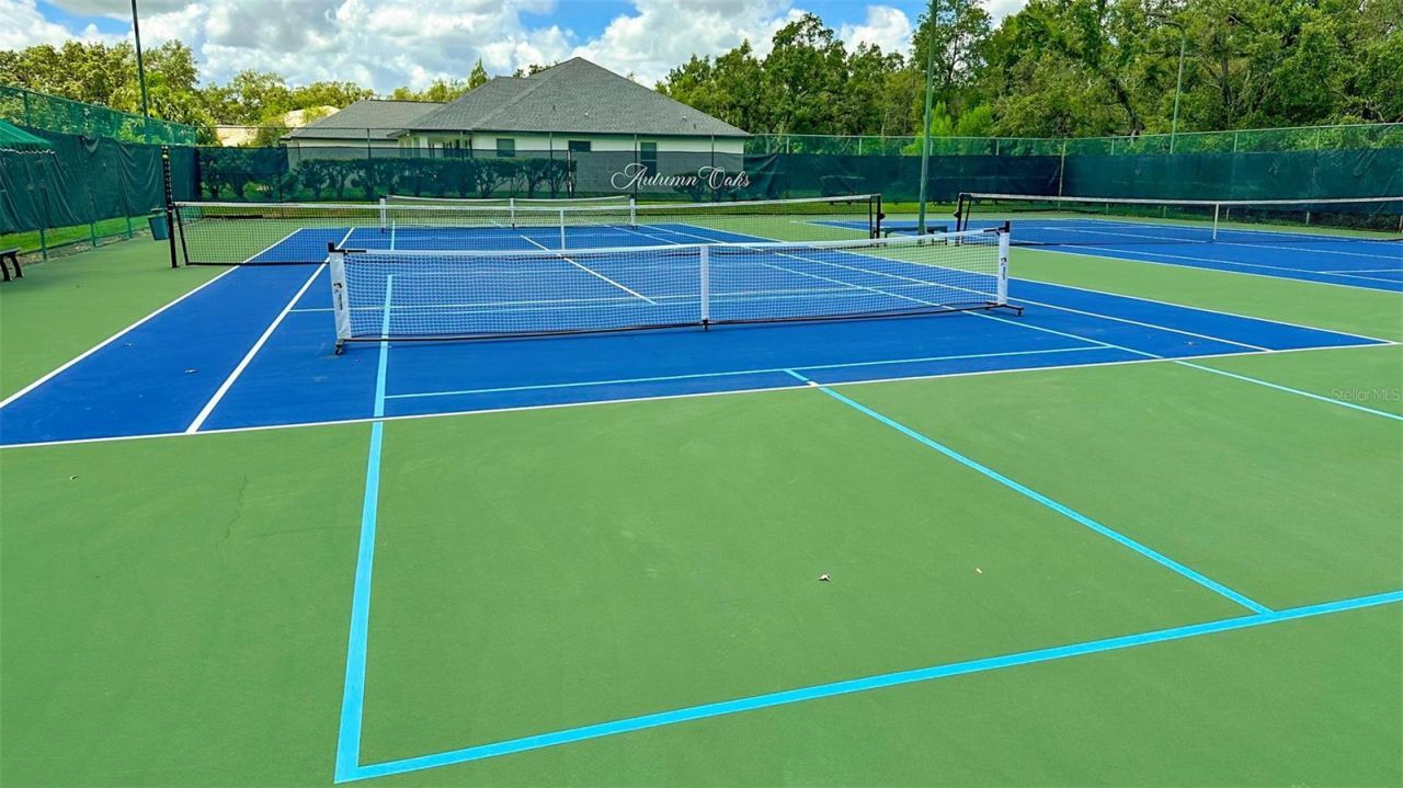 13807 Eagles Rock Court, Hudson, FL 34667 Photo