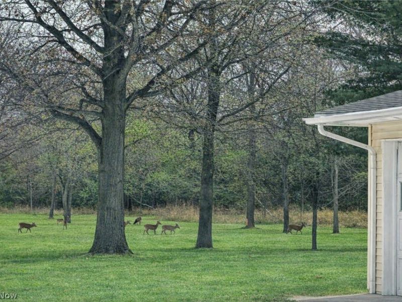 2029 NW Catawba Road, Port Clinton, OH 43452 Photo 44