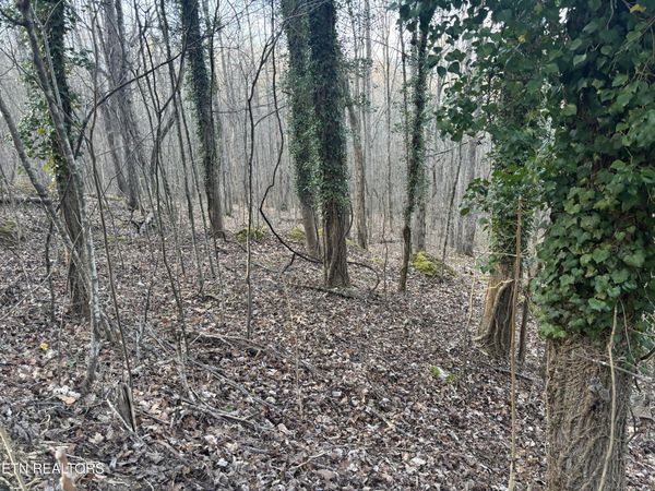 Kay Drive, LaFollette, TN 37766