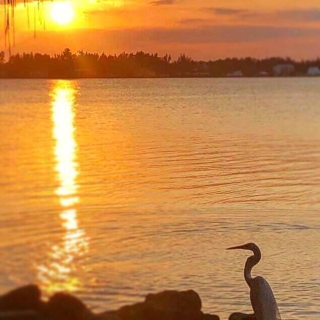 11450 S Indian River Drive, Sebastian, FL 32958 Photo