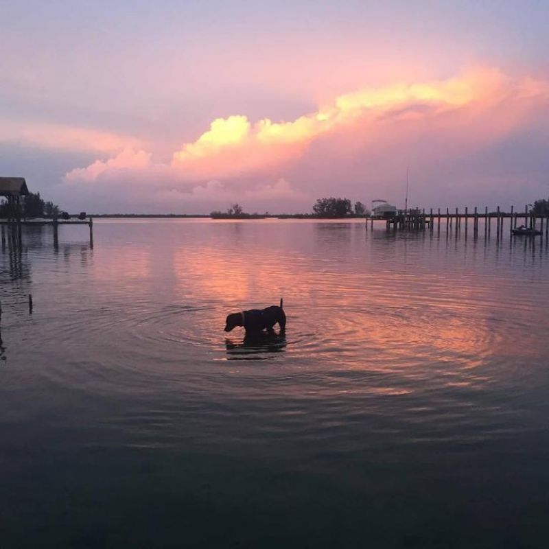 11450 S Indian River Drive, Sebastian, FL 32958 Photo