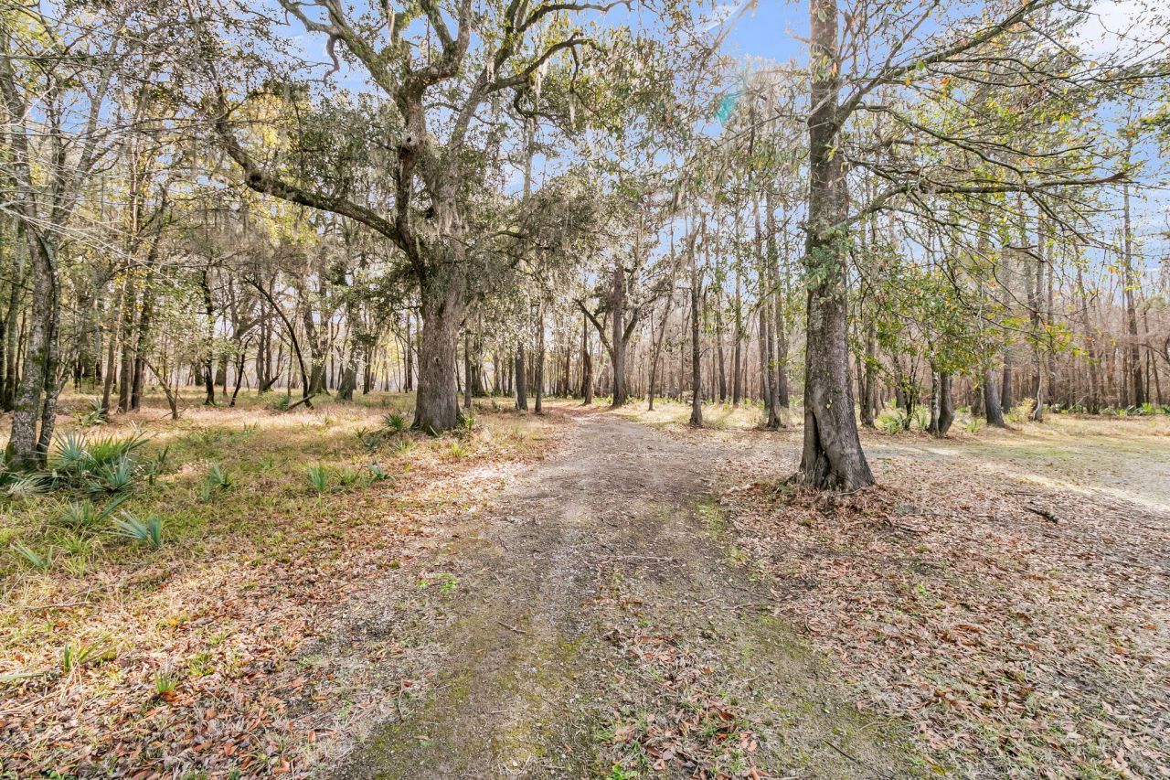 235 Pine Bluff Road Photo 39