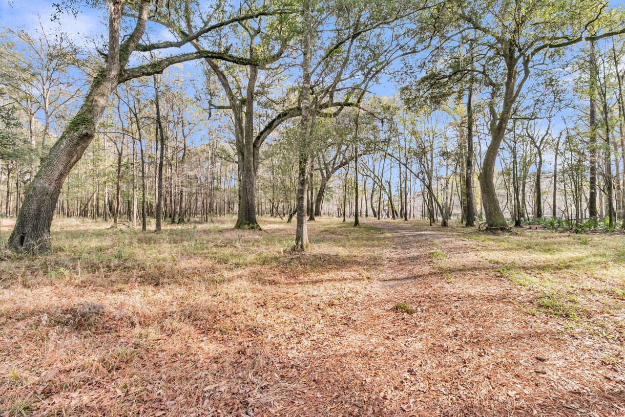 235 Pine Bluff Road Photo 40