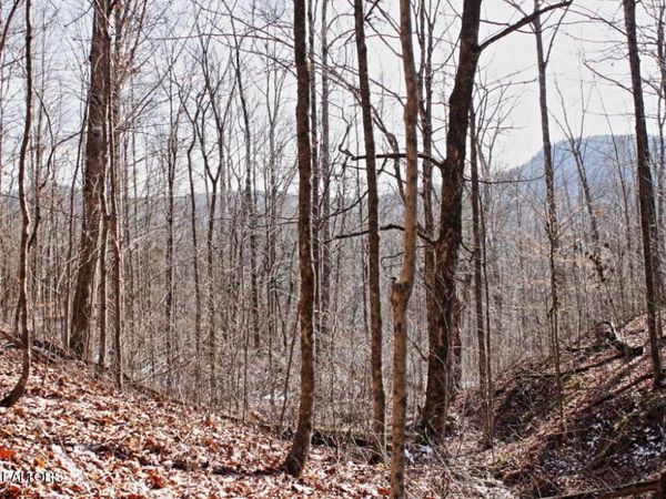 Cheynne Drive, Jamestown, TN 38556