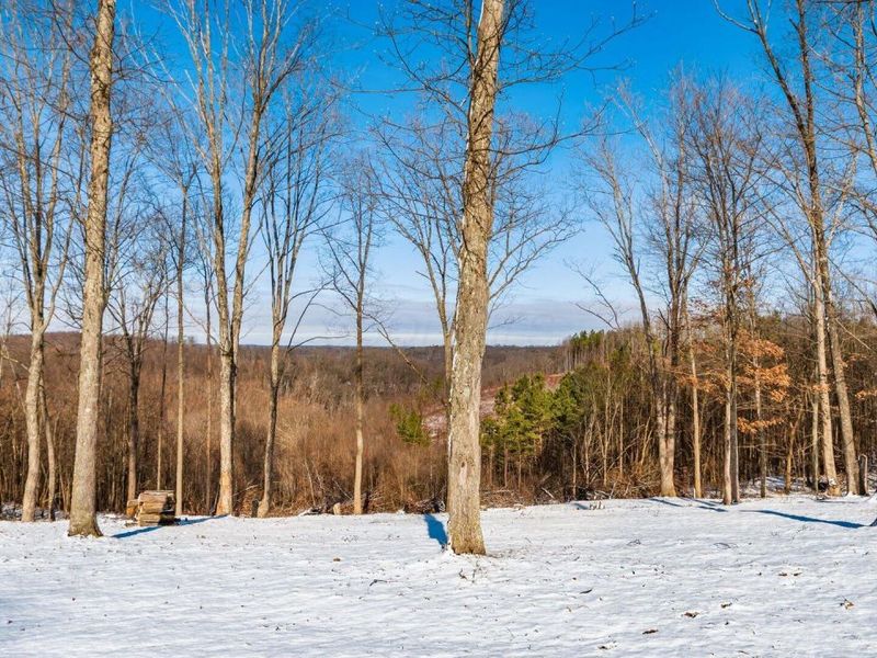 56953 Mills Road, South Bloomingville, OH 43152 Photo 18