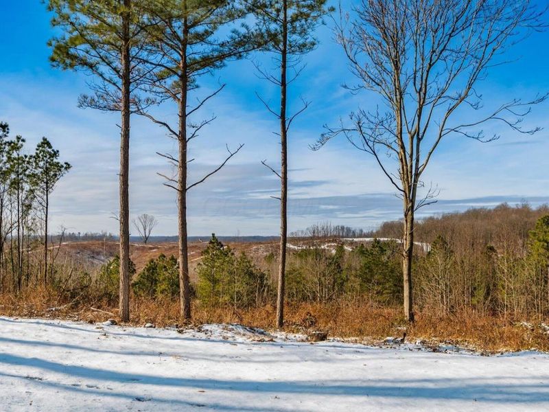 56953 Mills Road, South Bloomingville, OH 43152 Photo 19